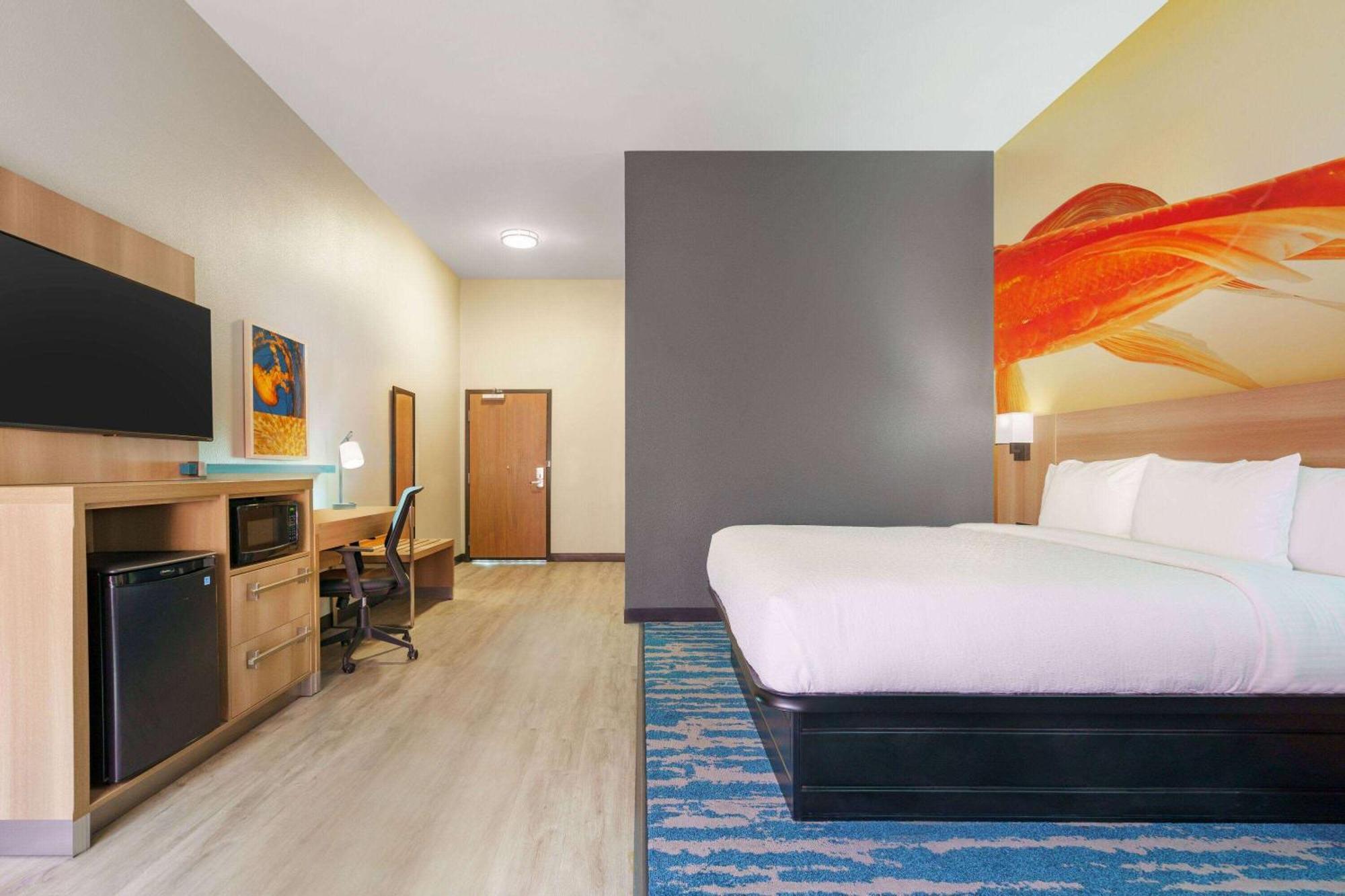 La Quinta Inn & Suites By Wyndham San Antonio Seaworld Lafb Bagian luar foto
